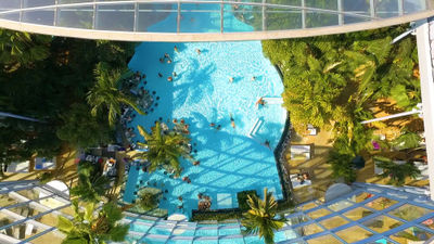 Therme Bucharest features an indoor botanical garden with more than 1,500 palm trees.