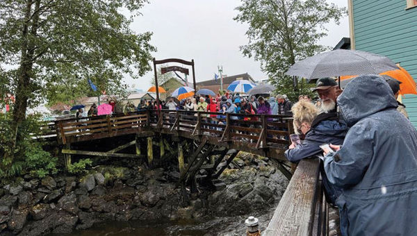 Harbor seal viewing from a bridge at Creek Street in Ketchikan.
