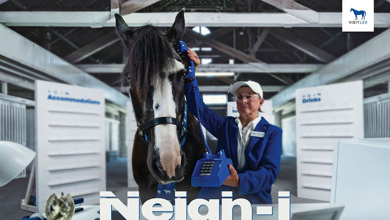 Oliver, a 17-year-old paint/shire cross, plans vacations to Lexington, Ky., as part of a new campaign from VisitLEX.