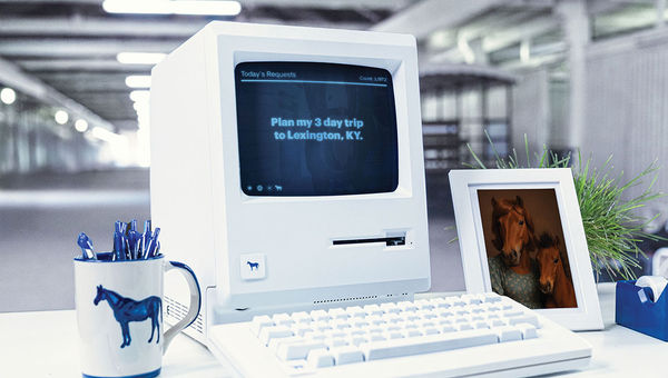 Oliver’s desk at the Kentucky Horse Park.