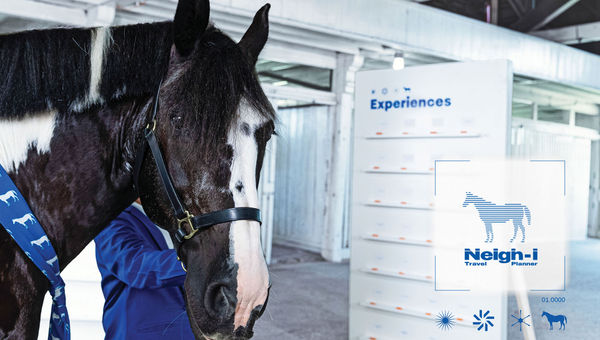 Oliver plans vacations by choosing different treats to eat.