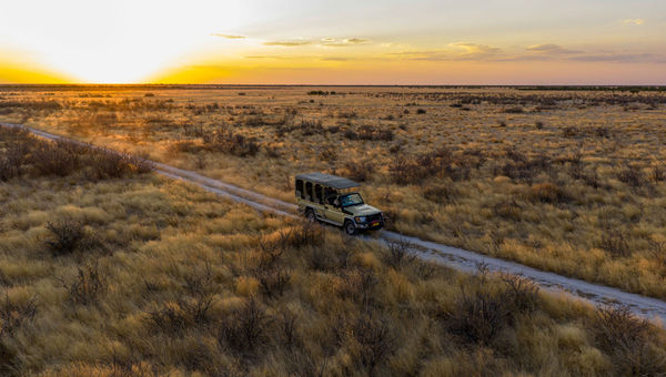 Explore the breathtaking landscapes of Etosha Heights Private Reserve. Explore the breathtaking landscapes of Etosha Heights Private Reserve.