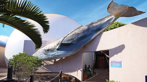 Maui Ocean Center’s show “Mele: The Hawaiian Music Experience” takes place at its Sphere theater.