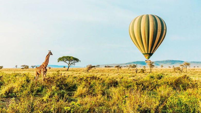 One of Abercrombie & Kent's private jet tours includes Tarangire National Park in Tanzania.