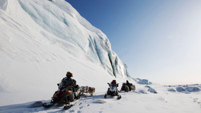 Basecamp Explorer's itineraries are in the Arctic tundra.