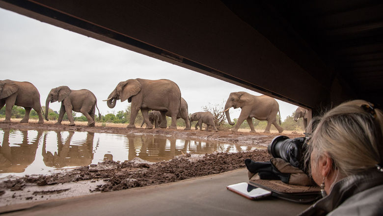 Botswana's remote Tuli Block is home to elephants and some of the continent's largest baobab trees -- hence the reserve's nickname, "The Land of the Giants."