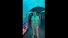 The mystery of the Celebrity Xcel's secret