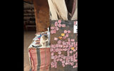 A cat perches itself on a table at a market stall operated by a local Bedouin seller inside Petra.