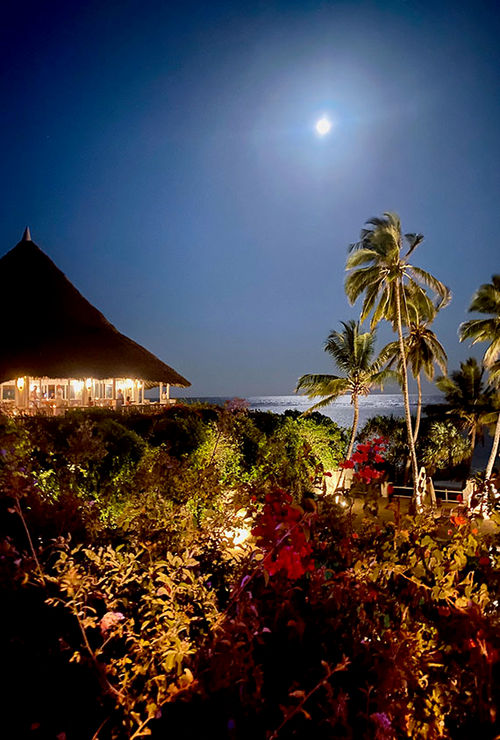 Diani Beach was the ideal place to wrap up a mulifacited visit to Kenya.