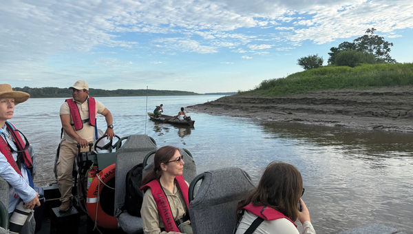Pure Amazon offers multiple outings a day, including skiff rides.