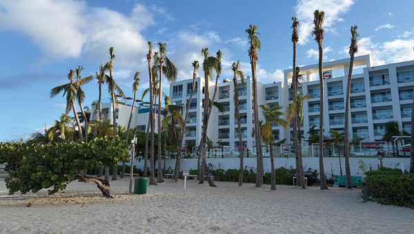Palm trees at the S Hotel in Montego Bay lost their fronds to the storm but are now sprouting new ones.