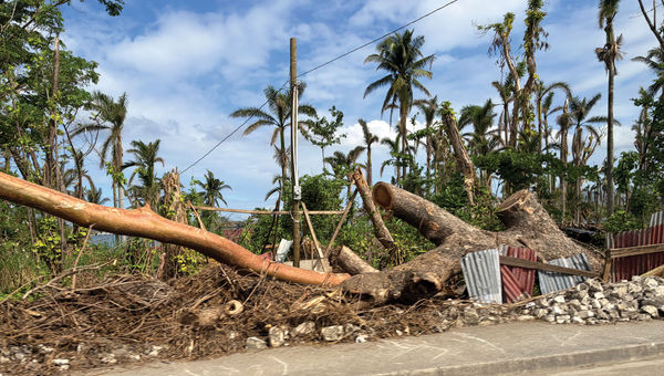 A wall was destroyed near Montego Bay when a tree fell on it during Hurricane Melissa.