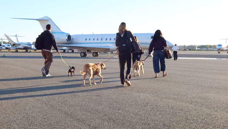 Travelers and their dogs can book seats on a plane from Los Angeles to Kailua-Kona via Bark Air for a dog-friendly retreat.