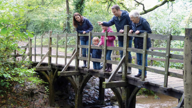 Pooh Trek leads day tours in Ashdown Forest to visit iconic sites in the real-life Hundred Acre Wood, like Pooh Bridge.