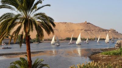 Boats sailing the Nile in Aswan, Egypt.