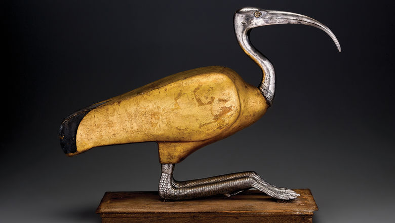 Ibis Coffin contains a mummified ibis from the fourth century B.C.