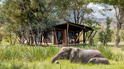 The Wilderness Mara in Kenya will feature 12 suites focused on viewing the great migration.