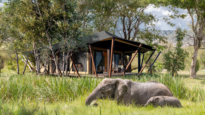 The Wilderness Mara in Kenya will feature 12 suites focused on viewing the great migration.