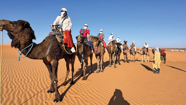 A camel caravan in the Sahara, headed to the A&K desert camp.