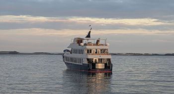 Ecoventura operates a fleet of three identical luxury megayachts in the Galapagos. Their size, smaller than many in the destination, enables them to responsibly navigate the islands.