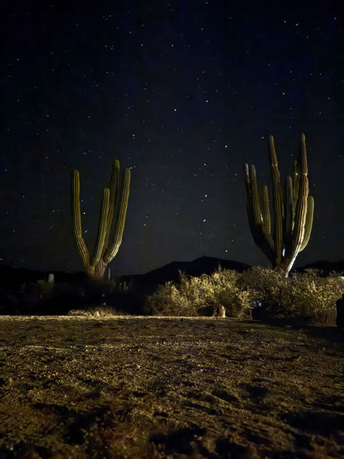 A star-studded night sky over Camp Cecil on Isla Espiritu Santo. A star-studded night sky over Camp Cecil on Isla Espiritu Santo.