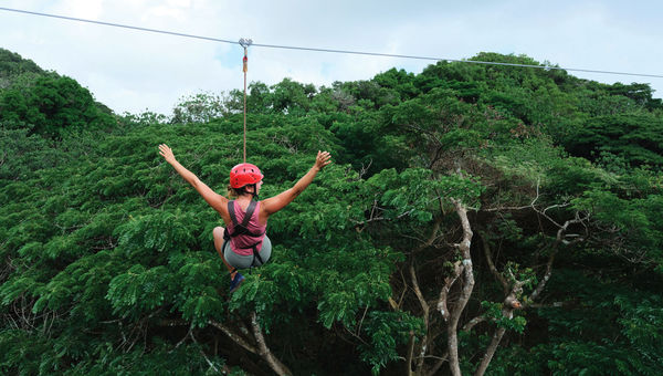 Some adventure attractions, like ziplining, were not available on Kauai when Sue Kanoho first took the reins at the island's visitors bureau in 1997. Some adventure attractions, like ziplining, were not available on Kauai when Sue Kanoho first took the reins at the island's visitors bureau in 1997.