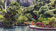 Woodside Travel owner and co-founder Gary Johnson recommends splitting time between Lanai's two resorts, Sensei Lanai and Four Seasons Resort Lanai. Pictured, the pool area at Sensei Lanai.
