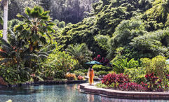 Woodside Travel owner and co-founder Gary Johnson recommends splitting time between Lanai's two resorts, Sensei Lanai and Four Seasons Resort Lanai. Pictured, the pool area at Sensei Lanai.