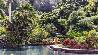 Woodside Travel owner and co-founder Gary Johnson recommends splitting time between Lanai's two resorts, Sensei Lanai and Four Seasons Resort Lanai. Pictured, the pool area at Sensei Lanai.