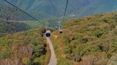 Visitors can reach the top of Gariwangsan Mountain by cable car.