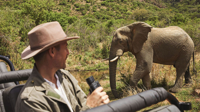 A 10-day tour through South Africa and Mozambique includes searching for the Big Five on game drives.