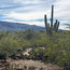 The Old West presents new adventures in Tucson