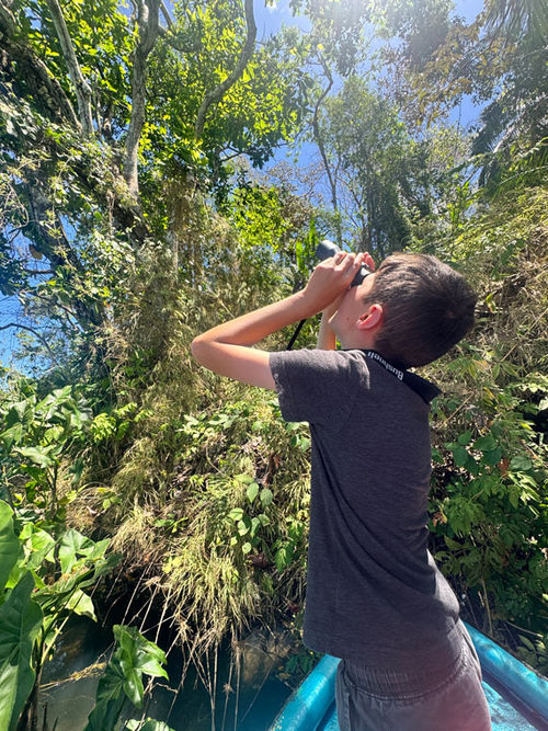 A boat tour on Gatun Lake provides plenty of opportunities for viewing wildlife.
