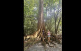 The author's son and daughter in the jungle.