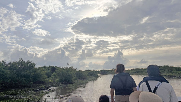 A birdwatching expedition on the Magdalena River in Mompox, Colombia. A birdwatching expedition on the Magdalena River in Mompox, Colombia.