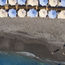 Royal Caribbean opens first private destination in Europe