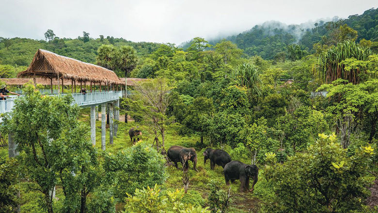 The new Thailand itinerary includes exploring the ancient ruins of Ayutthaya, taking a cooking class in Chiang Mai and visiting an elephant sanctuary in Phuket.