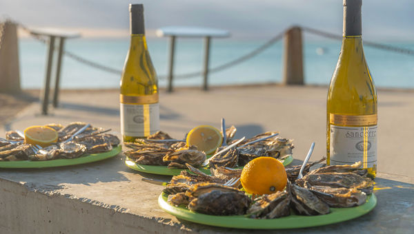 A mid-ride stop for oysters in Cancale, the oyster capital of Brittany.