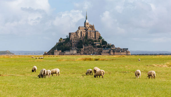 A highlight of the trip is a guided tour of Mont-Saint-Michel in Normandy.