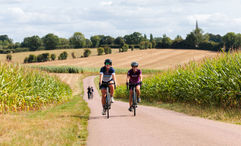 Guests pedal past corn fields in France's northwestern region of Brittany.