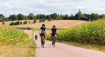 Guests pedal past corn fields in France's northwestern region of Brittany.