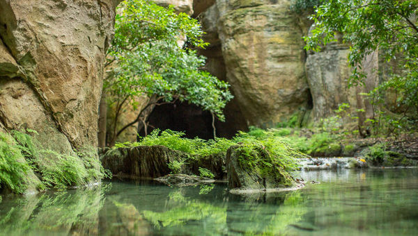 A full-day helicopter excursion takes guests to the limestone caves near Mount Gorongosa. A full-day helicopter excursion takes guests to the limestone caves near Mount Gorongosa.