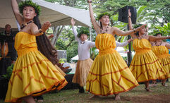 The summer concert series will feature live music and hula.