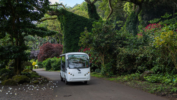 The new guided sunrise tour includes a ride on the electric shuttle. The new guided sunrise tour includes a ride on the electric shuttle.