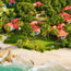 Club Med all-inclusive resort coming to St. Croix