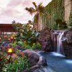 Known as a luxury wellness resort, 1 Hotel Hanalei Bay offers guests guidance on what foods and menu items are right for them.