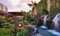 Known as a luxury wellness resort, 1 Hotel Hanalei Bay offers guests guidance on what foods and menu items are right for them.