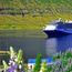 Carnival Corp. reports prosperous Q2 but lowers full-year outlook