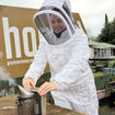 The author took part in a beekeeping experience offered by Greytown Honey in Wairarapa, New Zealand.