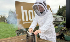 The author took part in a beekeeping experience offered by Greytown Honey in Wairarapa, New Zealand.